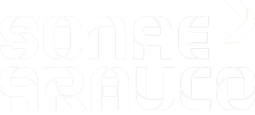 Sonae Arauco Madeiras Sustentáveis